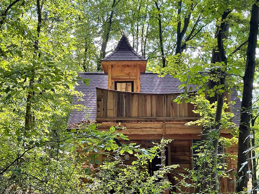 Dragonfly Fairy House Exterior Tower