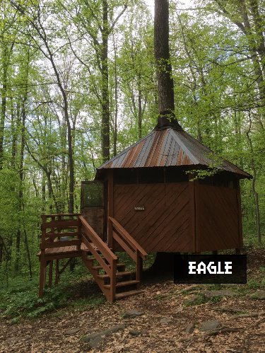 Eagle Tree House Campsite
